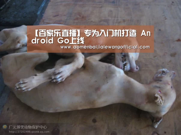 百家乐网站